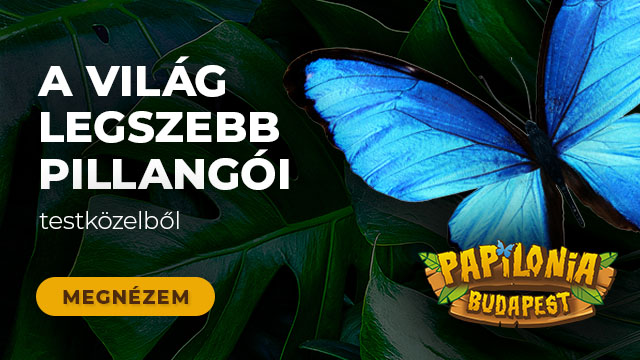 Papilonia Lepkevilág